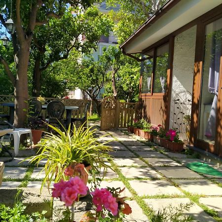梅塔Villino L'Aranceto Sorrentino住宿加早餐旅馆 外观 照片