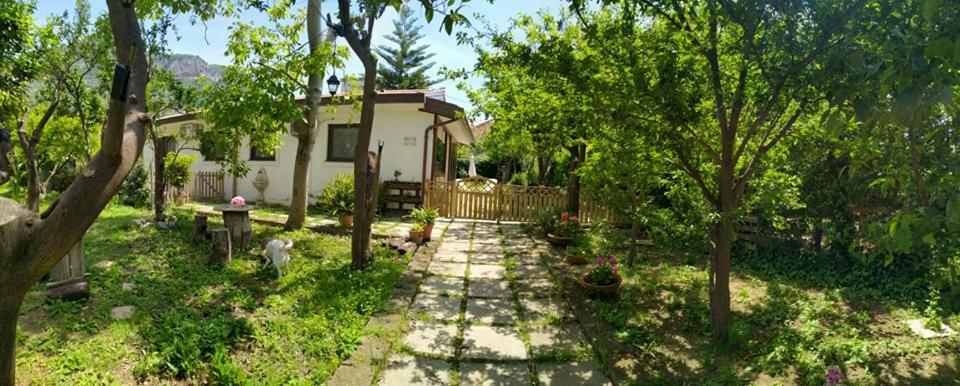 梅塔Villino L'Aranceto Sorrentino住宿加早餐旅馆 外观 照片