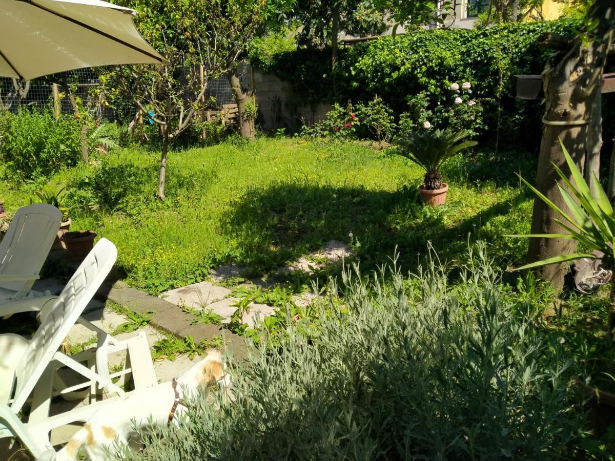 梅塔Villino L'Aranceto Sorrentino住宿加早餐旅馆 外观 照片