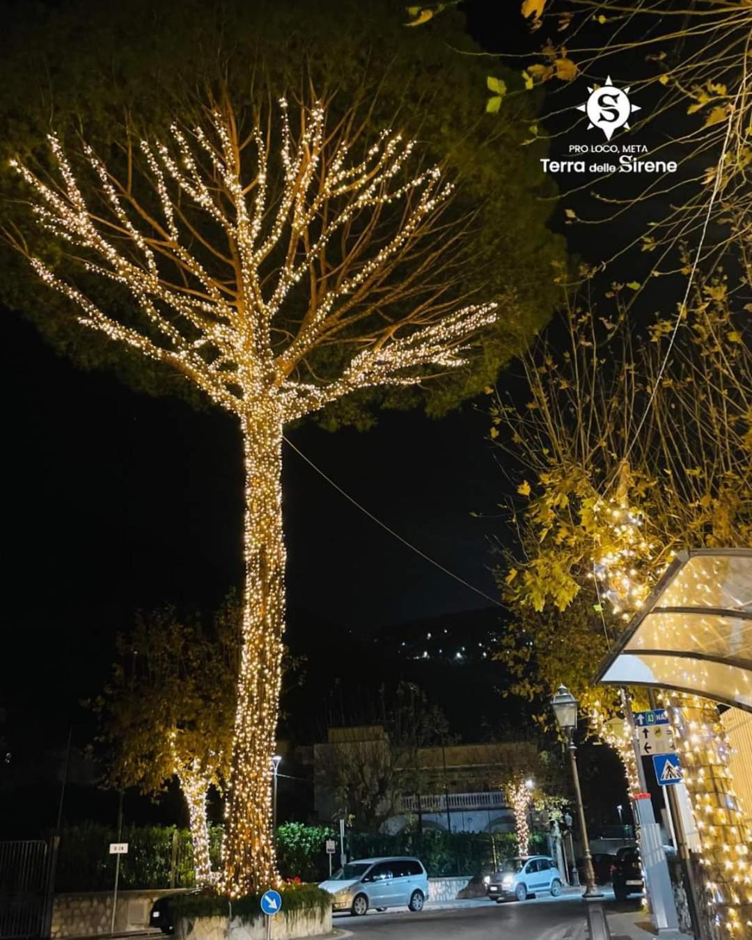 梅塔Villino L'Aranceto Sorrentino住宿加早餐旅馆 外观 照片