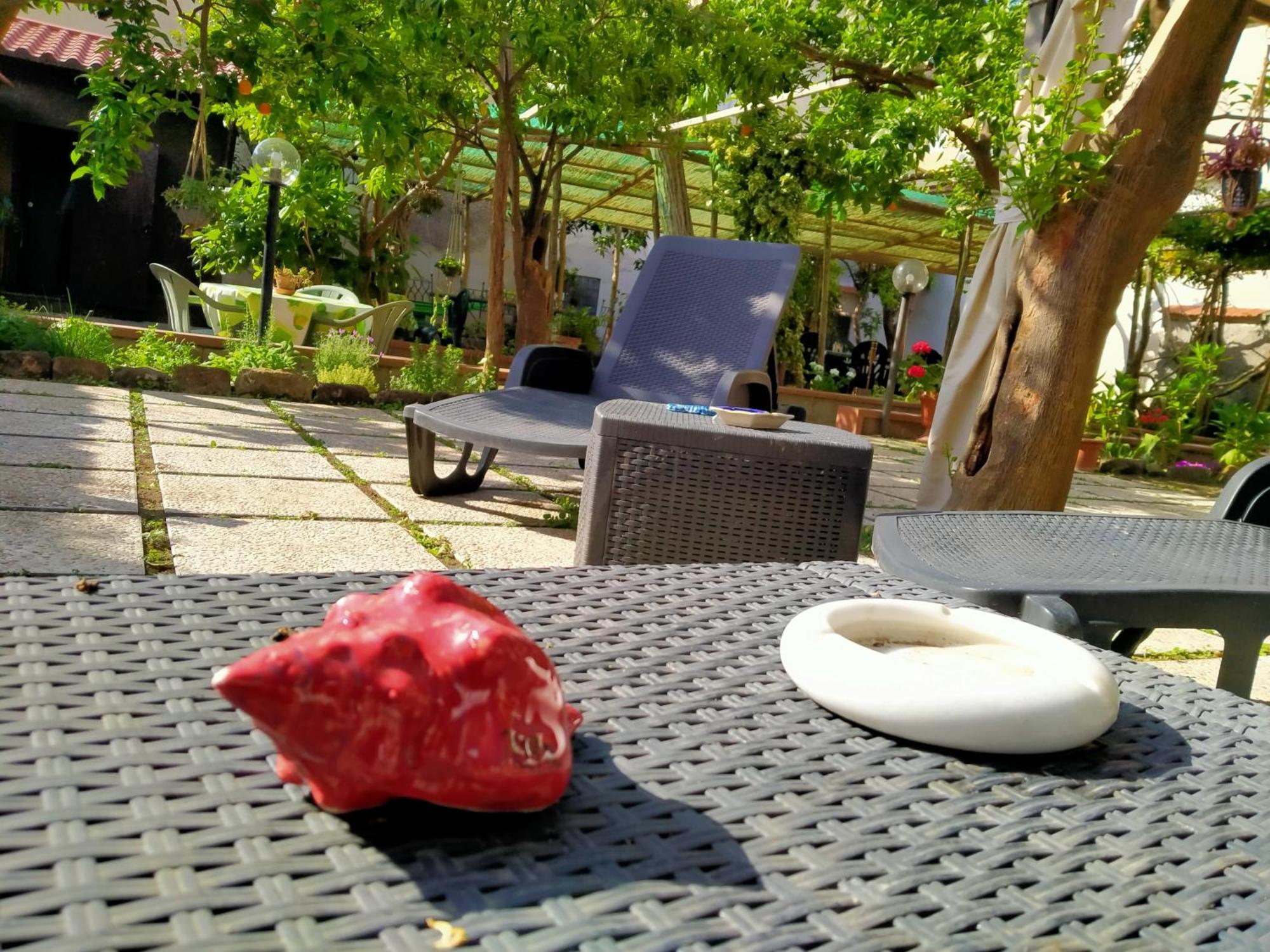 梅塔Villino L'Aranceto Sorrentino住宿加早餐旅馆 外观 照片
