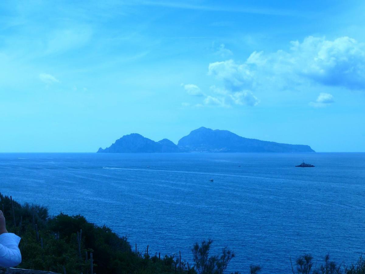 梅塔Villino L'Aranceto Sorrentino住宿加早餐旅馆 外观 照片