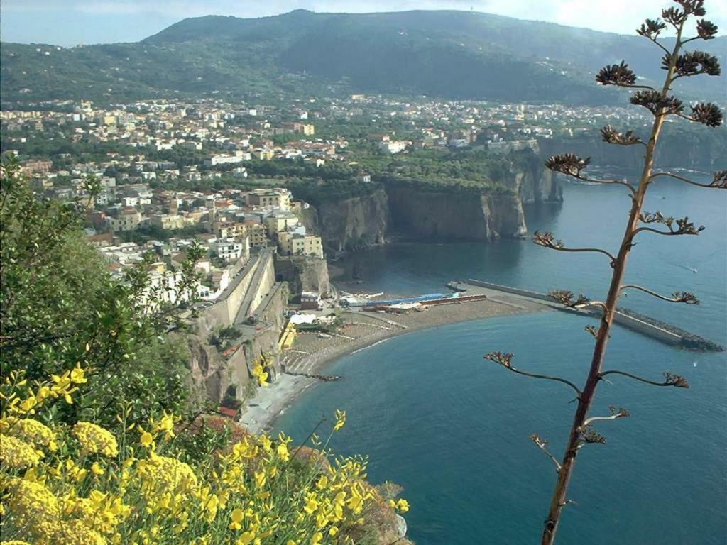 梅塔Villino L'Aranceto Sorrentino住宿加早餐旅馆 外观 照片