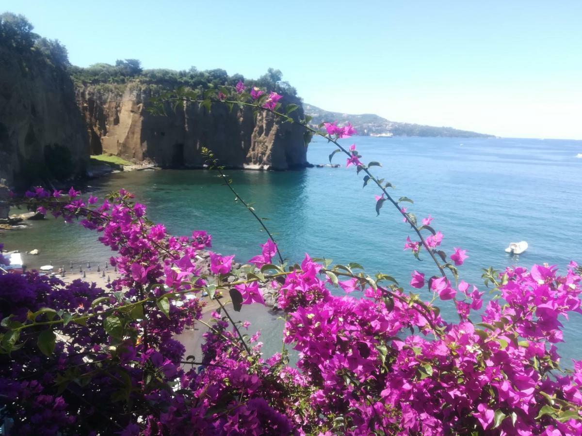 梅塔Villino L'Aranceto Sorrentino住宿加早餐旅馆 外观 照片