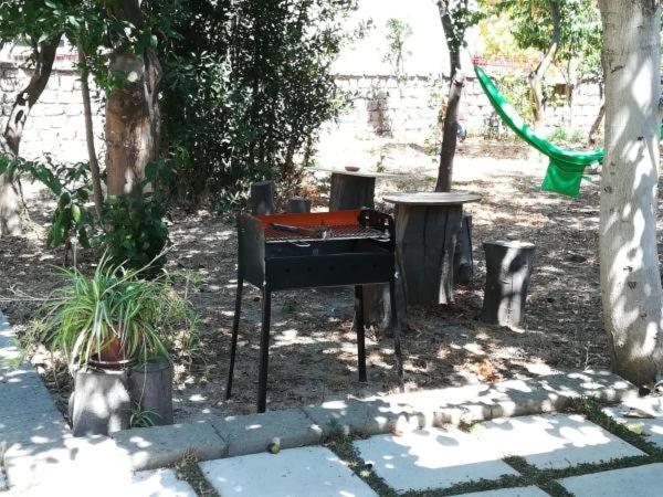 梅塔Villino L'Aranceto Sorrentino住宿加早餐旅馆 外观 照片